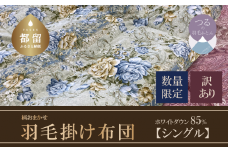 【数量限定・訳あり】【本掛け布団】羽毛本掛け布団　ホワイトダウン８５％使用（シングル：１５０ｃｍｘ２１０ｃｍ）【サンモト】｜色柄お任せ ワケあり 羽毛布団 掛け布団 訳アリ 羽毛ふとん 
