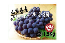 山梨 ピオーネ 種なし 贈答用 甘い 糖度 1.5kg 2～3房 フルーツ