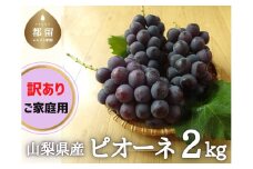 【2024年先行予約】山梨県産 種なしピオーネ 2kg 訳あり ご家庭用 | ピオーネ 訳あり 家庭用 甘い 糖度 2.0kg 山梨 やまなし 葡萄 ブドウ フルーツ 果物 くだもの ぶどう  デザート スイーツ 黒葡萄 黒ブドウ 黒ぶどう 濃厚