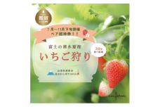 山梨県都留市 夏いちご いちご狩り ペア招待券 (2名分) （2023年7月～11月下旬）