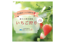山梨県都留市 夏いちご いちご狩り ＜2021年11月～まで＞ ペア招待券 (2名分) 限定20組