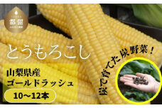 【2025年 先行予約】山梨県都留市産 ゴールドラッシュ 10～12本｜炭野菜 野菜 とうもろこし 間伐材 炭 肥料 SDGs 炭香ファーム