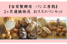 【2ヶ月連続】自家製酵母パン（1回目14個＋2回目11個）【パン工房 稔】｜天然酵母 食パン パン 菓子パン  詰合せ 詰め合わせ セット ギフト 　定期便　パン好き　