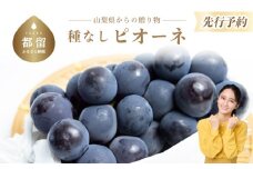 【2025年 先行予約】山梨県産 種なしピオーネ2房(約1.0Kg）【アズールヤード】| 2～3房  山梨 やまなし 葡萄 ブドウ フルーツ 果物 くだもの ぶどう  デザート スイーツ 黒葡萄 黒ブドウ 黒ぶどう 濃厚