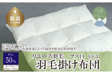 【掛け布団】羽毛掛け布団　ダウン50％　（キング：230cm×210cm）【リユース羽毛】【ＲＥＲＥＸ】 ｜ 羽毛 ダウン