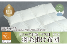 国産【羽毛布団】掛け　ダウン70％　170×210cm（セミダブル）【リユース羽毛】【ＲＥＲＥＸ】