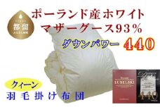 【掛け布団】ポーランド産マザーグース93％ 羽毛掛け布団（クイーン：220cm×210cm）（ダウンパワー440）【サカキュー】｜羽毛布団 羽毛ふとん 羽毛掛けふとん