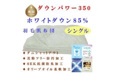 羽毛肌布団 無地 ホワイトダウン８５% シングル 150×210cm 羽毛布団 dp350　羽毛布団　掛けふとん　肌掛け布団　安眠　快眠　睡眠の質