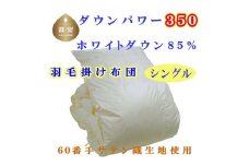 羽毛掛け布団 ６０無地 ホワイトダウン８５%　羽毛布団 シングル 150×210cm　dp350　羽毛布団　掛けふとん　快眠　安眠　睡眠の質