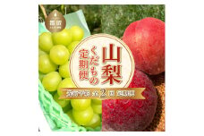 【2024年先行予約】定期便2回分 山梨 フルーツ くだもの 新鮮
