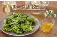リーフ野菜8種類詰合せセット