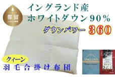 【合掛け布団】羽毛合掛け布団（クイーン：210cm×210cm）【サカキュー】｜ 羽毛ふとん　羽毛布団　掛けふとん　イングランド産ホワイトダウン90%　ダウンパワー360