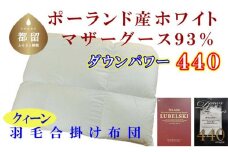 【合掛け布団】ポーランド産マザーグース93％ 羽毛合掛け布団（クイーン：220cm×210cm）（ダウンパワー440）【サカキュー】｜羽毛布団 羽毛ふとん 羽毛掛けふとん 合い掛け布団 合い掛けふとん