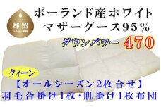 羽毛合い掛け・ 肌布団2枚組ポーランド産マザーグース９５％ 合掛け クィーン220×210cm dp470
