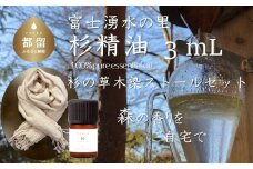 【エッセンシャルオイル】Tesse（杉）3mL & 草木染ストールセット【Woods＆Fields】｜アロマオイル 精油 アロマテラピー 森の香り リラックス効果 草木染め ストール