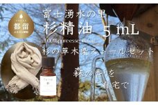 【エッセンシャルオイル】Tesse（杉）5mL & 草木染ストールセット【Woods＆Fields】｜アロマオイル 精油 アロマテラピー 森の香り リラックス効果 草木染め ストール
