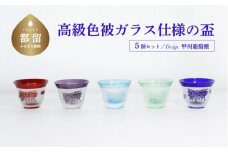 高級色被ガラス仕様の盃【デザイン＝甲州葡萄棚】青、赤、グレー、緑、水色の5色セット