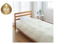 とろける羽毛ふとん［セミダブル］肌掛けふとん 専用カバー付き/クリーム