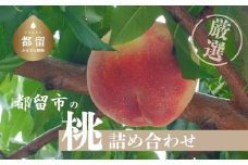 【2024年先行予約】山梨県都留市産 厳選 桃 詰め合わせ（5~8個入り）数量限定 農家直送 農家厳選 山梨県産 もも モモ 品種おまかせ 詰合せ ピーチ 甘い 糖度 5～8玉 直送 おまかせ 厳選  スイーツ フルーツ デザート くだもの 甘い 糖度 浅間白桃 加納岩白桃 夢みずき 白鳳 なつっこ 黄金桃 さくら白桃