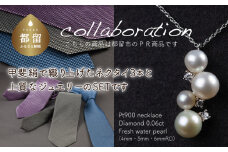 ご夫婦セット（ネクタイ3本&ジュエリー） 甲州織物ネクタイ（3set-N1） & 淡水パール&0.06ct ダイヤモンドネックレス（RP-MN-0184）【リズプラス】