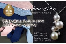 ご夫婦セット（ネクタイ3本&ジュエリー）甲州織物ネクタイ（3set-N3） &  淡水パール&0.06ct ダイヤモンドネックレス（RP-MN-0184）【リズプラス】