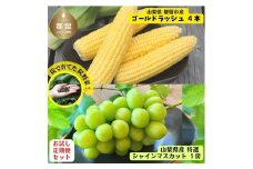 【限定 定期便】都留市産とうもろこし ４本 ＆ 山梨県産 厳選 シャインマスカット 1房のお試しセット品 ｜シャイン マスカット 山梨 やまなし 山梨県産 葡萄 ブドウ フルーツ 果物 くだもの トウモロコシ コーン 　