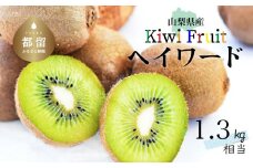 山梨県産キウイフルーツ【ヘイワード】1.3㎏相当