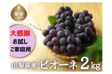 【2023年先行予約】ピオーネ 種なし 2.0kg 山梨 お試し 家庭用 甘い 糖度