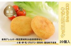 お米で作ったやさしいコロッケ(20個)　アレルギー対応　米粉　総菜　おそうざい　おかず　お弁当　おやつ
