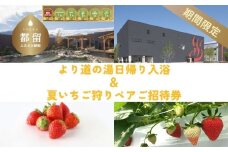 【期間限定】山梨泊まれる温泉より道の湯　日帰りペア入浴券（食事＋岩盤浴付き） ＆　夏いちご狩り ペアご招待券
