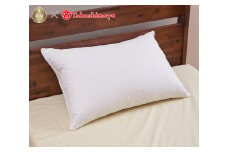 ダウンピロー　プレーンスリーパー（50×70cm）【高島屋選定品】