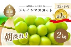 【2025年 先行予約】山梨県産 シャインマスカット 2kg (3房～4房)【アズールヤード】 |  2.0kg  山梨 やまなし 人気 ぶどう シャイン マスカット 名産 種無し 種なし  葡萄 ブドウ フルーツ 果物 くだもの デザート スイーツ 甘い 糖度 限定 特選