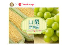 【高島屋選定品】 2024年 先行予約 定期便 山梨県産 とうもろこしとシャインマスカット食べ比べコース（計2回） | セット品  山梨 やまなし 人気 ぶどう シャイン マスカット 名産 種無し 種なし  葡萄 ブドウ フルーツ 果物 くだもの デザート スイーツ 甘い 糖度 限定 特選 タカシマヤ セレクト タカシマヤセレクト 野菜 とうもろこし シャインマスカット 特選 コーン トウモロコシ