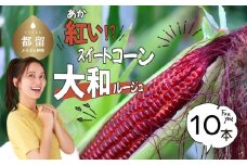 【2025先行予約】紅いスイートコーン　大和ルージュ　赤い　とうもろこし　トウモロコシ　希少　日本初