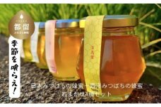 日本みつばちの蜂蜜＋西洋みつばちの蜂蜜おまかせ4種セット 100ｇ×４｜日本みつばち はちみつ ハチミツ 和蜂 