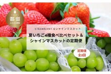 2024年【定期便】夏いちごとシャインマスカット