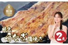 うなぎの蒲焼（半カット）2尾　380g以上 湯煎　温めるだけ 冷凍 真空パック 人気 お試し　ウナギ　鰻　うな重　かば焼き　ご馳走