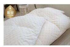 シングルサイズ羽毛掛けふとん　ダックス　DK521122-20　羽毛布団　羽毛ふとん　睡眠の質　安眠　快眠　寝具