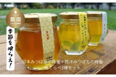 日本みつばちの蜂蜜＋西洋みつばちの蜂蜜　味くらべ3種セット 100ｇ×3｜日本みつばち 西洋みつばち はちみつ ハチミツ 和蜂 