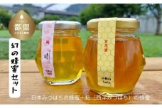 幻のはちみつ　2種セット｜日本みつばち 西洋みつばち はちみつ ハチミツ 和蜂 
