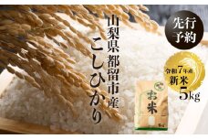 【令和７年産新米・予約】山梨県都留市産こしひかり[5kg]　　おコメ 米 こめ 新米 先行予約 こしひかり