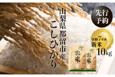 【令和７年産新米・予約】山梨県都留市産こしひかり[10kg]  おコメ おこめ お米 米 こしひかり 先行予約 新米