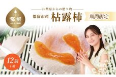 枯露柿（中サイズ12個入り）かき　ドライフルーツ　干し柿　旬の味覚　スイーツ　甲州百目