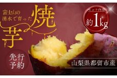 【先行予約】富士山の湧水で育った焼きいも【アズールヤード】｜  サツマイモ さつまいも スイーツ 贈答用 プレゼント ギフト  