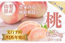 【2026年　先行予約】山梨県産　桃約２㎏（6～8玉） | もも　モモ　山梨　山梨産　甘い　糖度　 デザート スイーツ　※発送時期は2026年 7月～8月中旬を予定しておりますが、天候等の関係で配送開始時期が前後することがございます。
