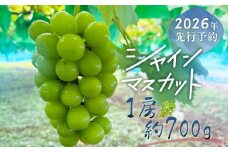 【2026年先行予約】シャインマスカット 1房（約700g）