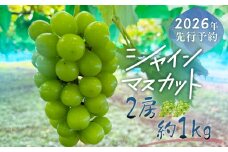 【2026年先行予約】シャインマスカット 2房　（約1.0kg）