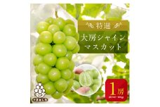 特選大房シャインマスカット1房(約700～800g) ふるさと納税【1021827】