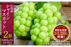 ＜2025年発送＞シャインマスカット 2房 (約1kg) 山梨県産フルーツ 人気のぶどう【1017347】