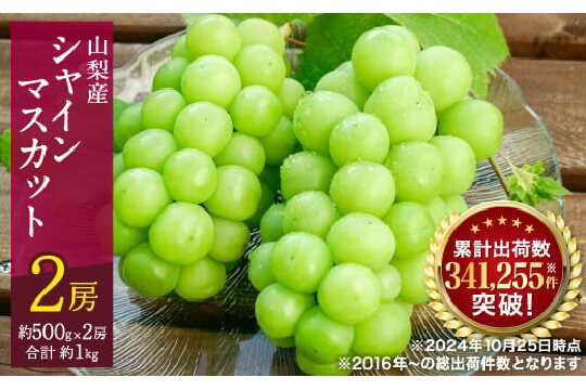 ＜2025年発送＞シャインマスカット 2房 (約1kg) 山梨県産フルーツ 人気のぶどう【1017347】